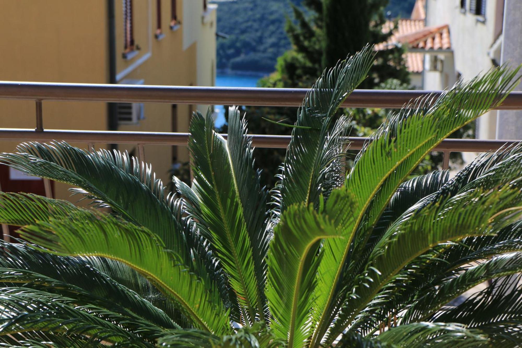 Apartments With A Parking Space Rabac, Labin - 7429 Exterior foto
